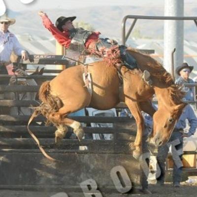 therealOcO87's profile picture. 