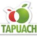Tapuach Hendon (@tapuachlondon) Twitter profile photo