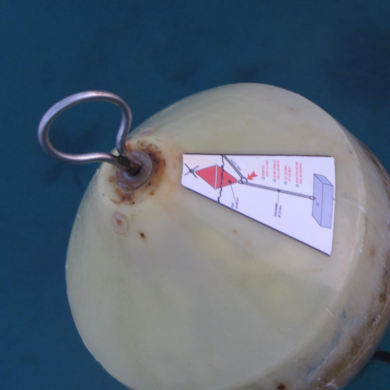 VikaZidar's profile picture. 