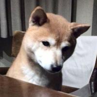 井出草平 Sohei IDE (@sohei_ide) 's Twitter Profile Photo 井出草平 Sohei IDE (@sohei_ide) 's Twitter Profile Photo