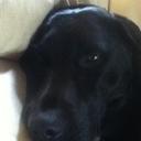 daniel hadley - @dan12345had - Twitter