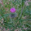 Fiona Lambert - @fimabon - Twitter