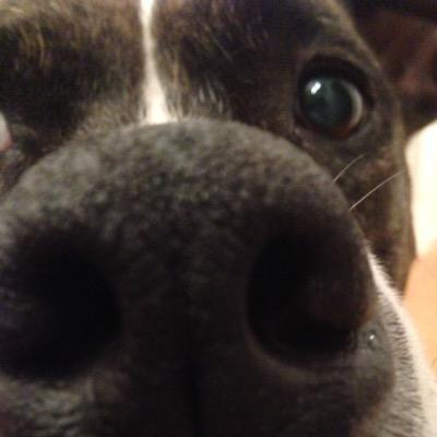 KarateKaj's profile picture. DIF