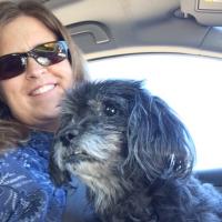 Vicki Kennedy (@the_vickijoy) 's Twitter Profile