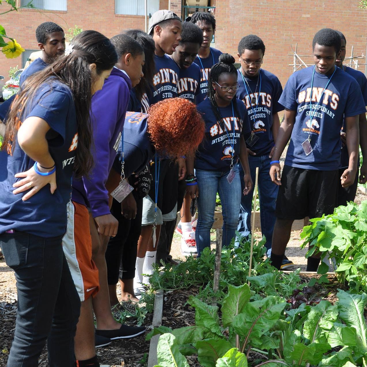 DHSpv's profile picture. 