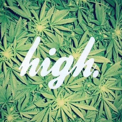 Daily Weed Related Tweets. Checkout The #1 Store http://t.co/3y3yywUpRI  For All Your Smoking Needs!