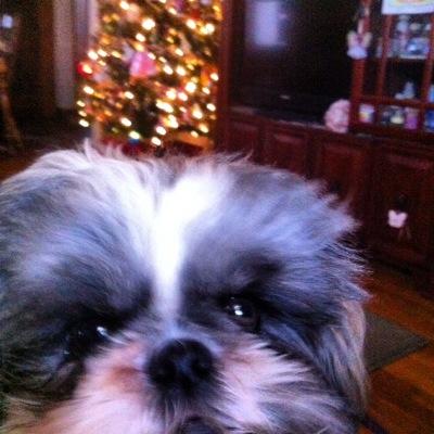 jlisenko's profile picture. 