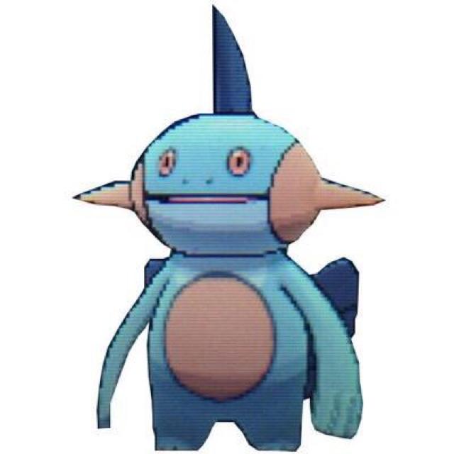 numacchiaki's profile picture. 