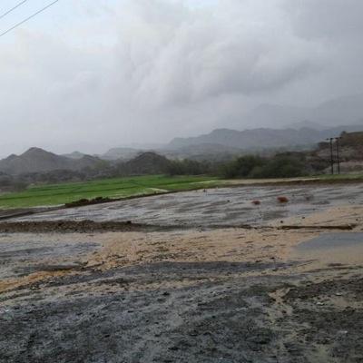 Az2013Nor's profile picture. أناومن بعدي الطوفان