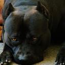 marcello miranda - @marcellomiran86 - Twitter