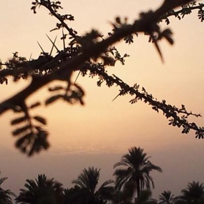 باحث عن المتعه لأخر الحدود وين ديوثين عمان