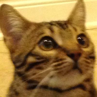 SoupMinion's profile picture. Training to defend Earth from the Netherealm