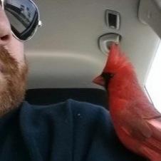 revnickmorgan's profile picture. Minister, Bisexual, Equality Activist, Christian, Liberal. He/him. Been active in politics over 25 years.