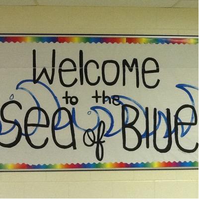 DavidsonRaiders's profile picture. 