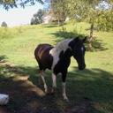 Jordan Pressley - @jordysmail2 - Twitter