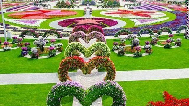 AlasmarElmasry's profile picture. 