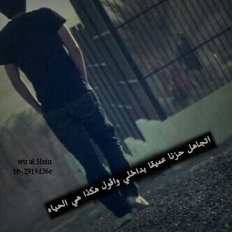 شاعر وكاتب ودكتور ومهندس وطيار واكذب وشكرا◄✗