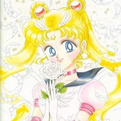セーラームーンと幽☆遊☆白書、ドラゴンボール、デスノート、I'll（浅田弘幸）テガミバチ、ご近所、下弦の月、NANA 、関連が好きです。1に原作2にアニメ！ネコも好き(*´∀｀*)ﾖﾛｼｸﾈ♡｡・:＋°