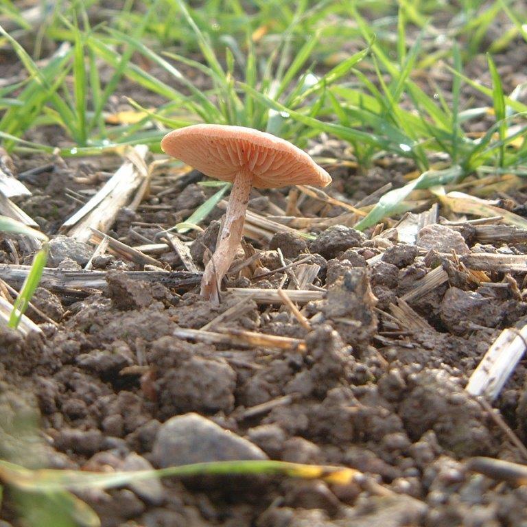 JimbullockCA's profile picture. 