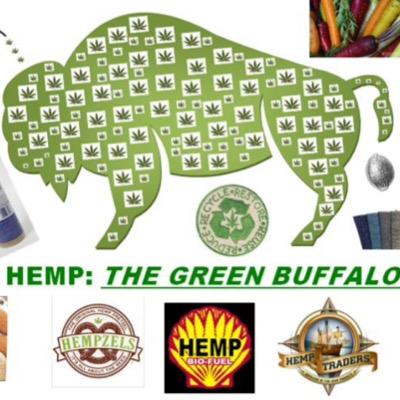 Great White Buffalo's cousin, Greene.       This is a Twitter dedicated to the daily stoner. There's no I in Weed IInstagram:@GreatGreeneBuffalo