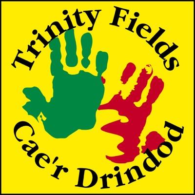 Trinity Fields School & Resource Centre in Ystrad Mynach is a specialist SEN school for around 280 pupils aged 3-19 years, maintained by Caerphilly CBC.