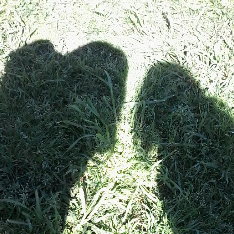 Hola em...soy directioner *-*/ i love you one direction n.n y miro holasoygeman n.n