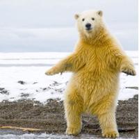 Sidhika Sooklal (@missseed) 's Twitter Profile