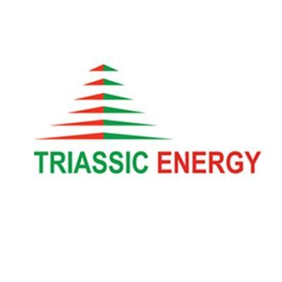 TriassicEnergy's profile picture. 6051 N. Brookline Ave, Suite 117, Oklahoma City, OK,  73112.                                                      405-607-0704