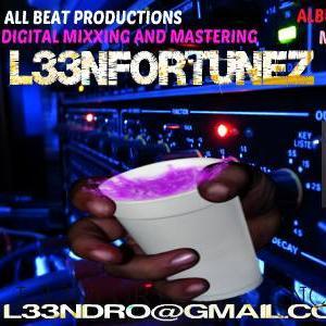 L33NDRO's profile picture. 