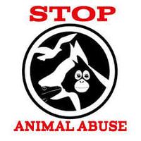 IndonesiaAnimalovers (@indanimalovers) 's Twitter Profile