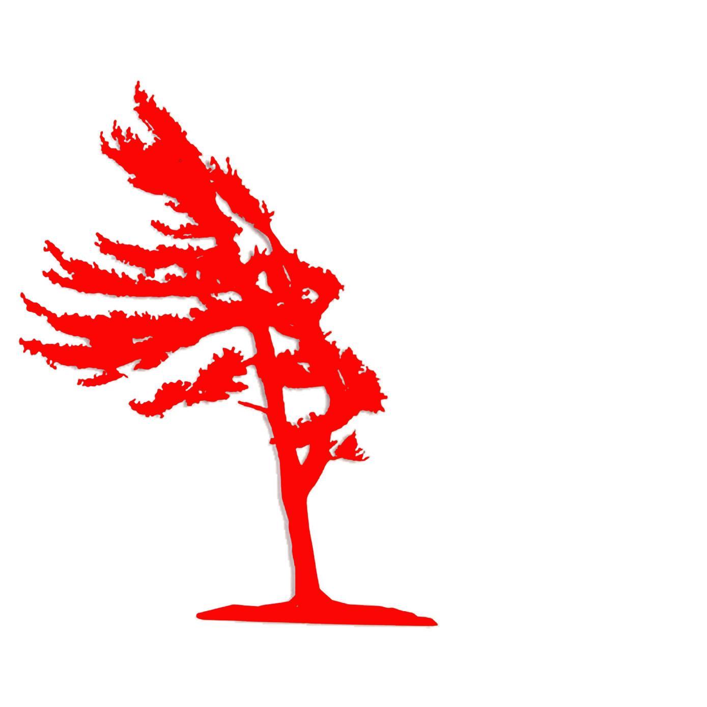 New company providing snow removal, lawn care and many other services to the Barrie area and Muskoka. Check us out!