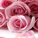 Ma.del Carmen Pineda - @capinrod - Twitter