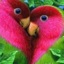 Sharon Piña - @PiaYasenis - Twitter