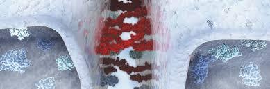 organellechief's profile picture. 