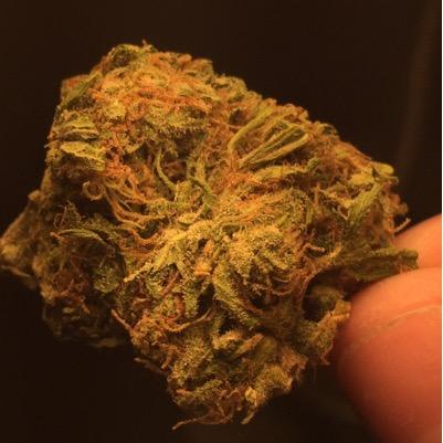 Medical,Recreational Cannabis, Lets make it to the top. What are you smoking? Snapchat and app coming soon