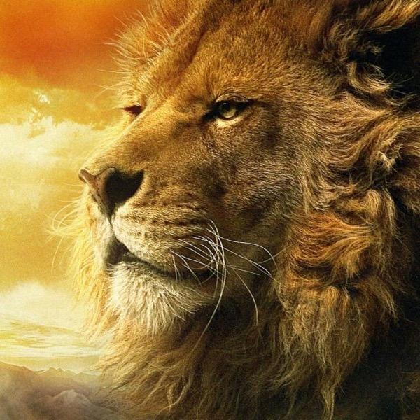 Aprendo y razono con argumentos sólidos no con ideas de otros. No comparto lo que dices, pero defenderé hasta la muerte tu derecho a decirlo. Voltaire.