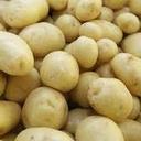 evan silva 1150 - @BatataEvan - Twitter