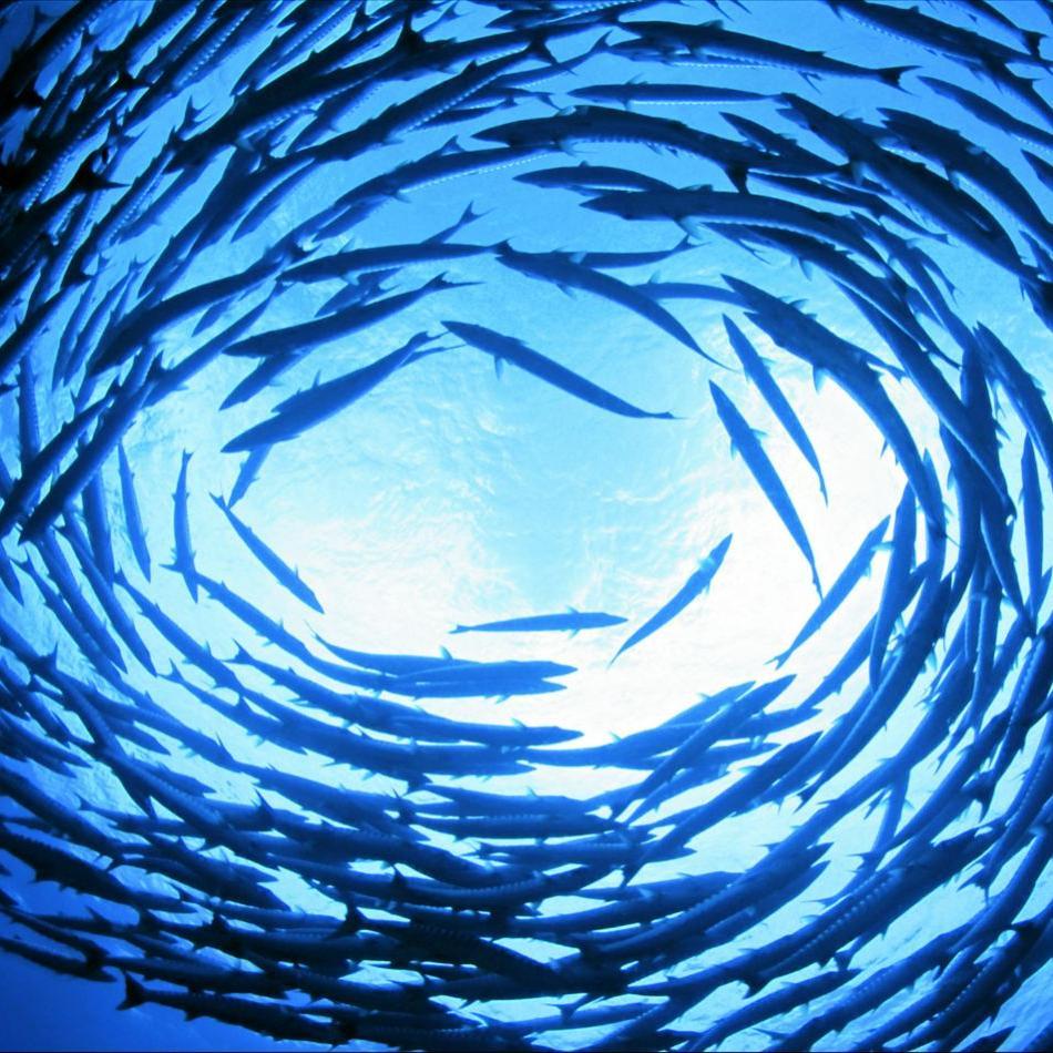 harr_ray's profile picture. 