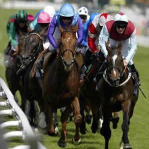 hoarsepowa's profile picture. 