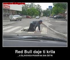 pozdrav, sve najbolje