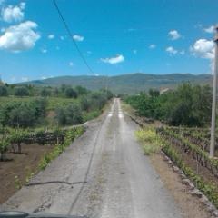Sikelias Trade LTD - Fine Food and Luxury Wine typical products of Sicily, from the neighbouring areas of Mount Etna