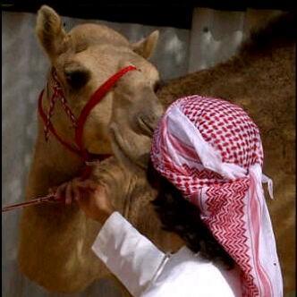 • Welcome to my profile
• Name: Hazzaa saif Al.mansoori
• 23 years old
• From: U.A.E 
• kik: Hazz3_89
• Snap chat: hazz3_89