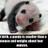 animalUniverse_'s profile image