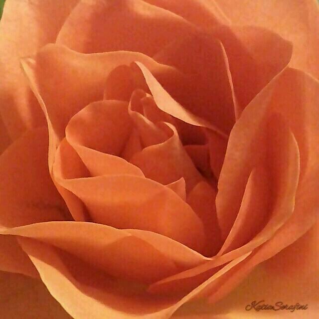 Serafini_Katia's profile picture. Quando c'è in ballo la tua vita non ne puoi più di giri di parole. (prof 2.0)