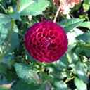 NancyHey - @HeyNancyHey - Twitter