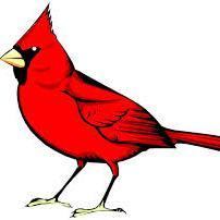 galopgallery's profile picture. Great things are coming!  See you at the New Galop Gallery Site soon!  ~ http://t.co/fWNX6JuxAb