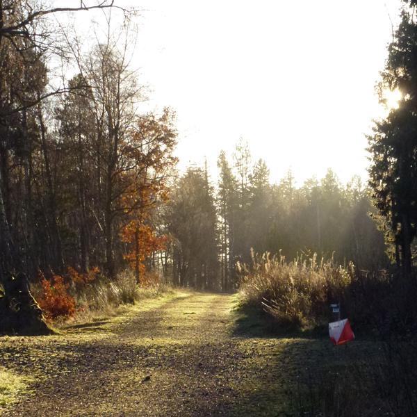 Scotland's small friendly orienteering club