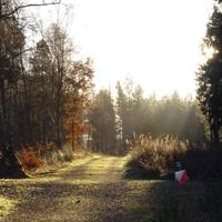 East Lothian Orienteers (@eastlothianoc) 's Twitter Profile