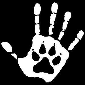 SPFPAW's profile picture. SPF P.A.W. - Protect Animal Welfare. Club at Scotch Plains Fanwood High School to raise money and awareness for animals in need. DM us for more information!