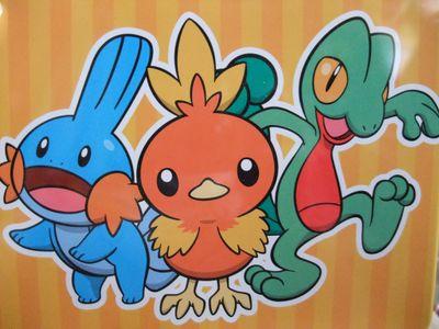 ドラゴン、エスパータイプを主に攻撃ととくこうの高さで敵を倒したいと思います